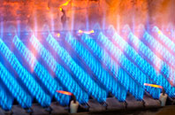 Brympton Devercy gas fired boilers